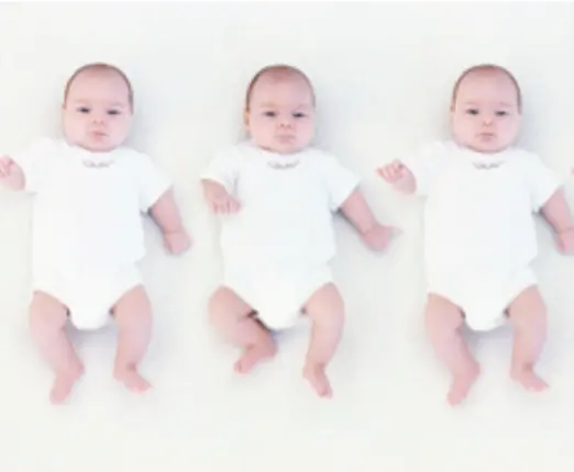 Photo bébés clonés