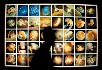 La dérive génétique