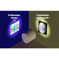 Illustration scientifique