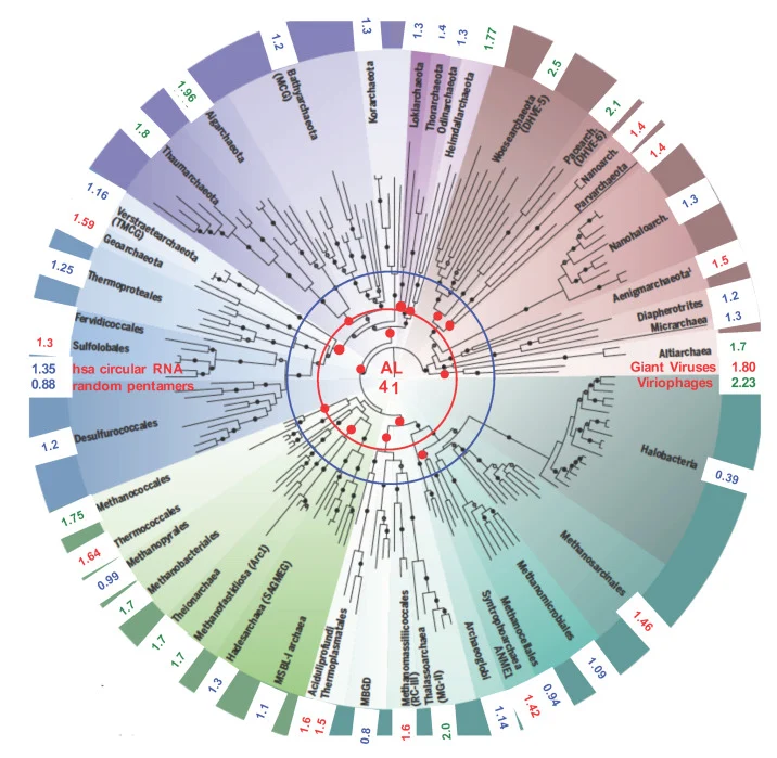 laboratoire Simplissima